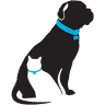 Behavior Matters Pet Training