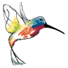 Bella Colibri