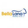 Bella Lana Poll Merino Stud