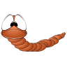 Bellarine Worms