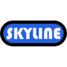 Skyline Roofing & Construction