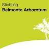 Belmonte Arboretum