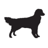 Benson View Veterinary Hosp