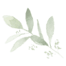 Bent Willow Designs