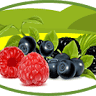 Berry Good Farms