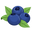 Best Choice BlueBerry Farm