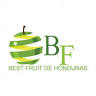 Best Fruit de Honduras