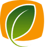 Bg Group