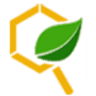 Bgreen - Công ty TNHH Thương mại & Dịch vụ