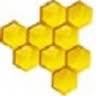 Bienen-Produkte24