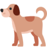 Big Creek Veterinary Hospital