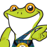 Big Frog Electric