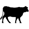 Big River Ridge Farm LLC