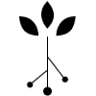 Bija Yoga