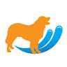Bilsby Canine Hydrotherapy
