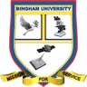 Bingham University