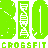 BIO Community Fitness