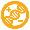 Biomagnetic Way
