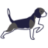 BIRD DOG