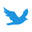 Birders Bird Supply and Gift Store