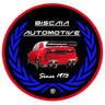 Biscaia Automotive