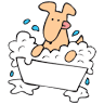 Biscuit Bath & Beyond North