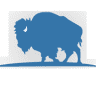 Bison Law Firm