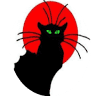 Black Cat Cafe