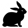 Black Bunny Cafe and Bar
