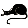Black Cat Bistro