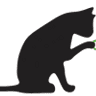 Black Cat Coffee
