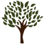 Black Cherry Tree Service