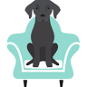 Black Dog Interiors