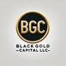 BGC FLYASH BLACKGOLD CAPITAL