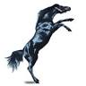 Black Horse Trading Company