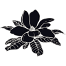 Black Magnolia Southern Patisserie