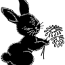 black rabbit florist
