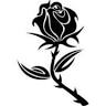 Black Rose Fishing Charters