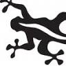 Blacksalamander