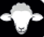 Blacksheep Fund