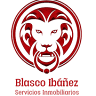 Blasco IbaÑez Servicios Inmobiliarios