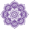 Bliss Body Yoga