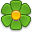 Bloemen bij Sander
