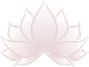 Bloom Pediatrics and Lactation
