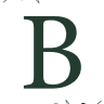 Blooms Company