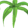 Bloomshop Goslar - Growshop