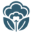 Blossom Pediatric Dentistry and Orthodontics