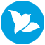 Used Car Blue Bird Bojonegoro