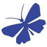 Blue Butterfly Yoga & Pilates Studio