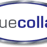 blue collar peo